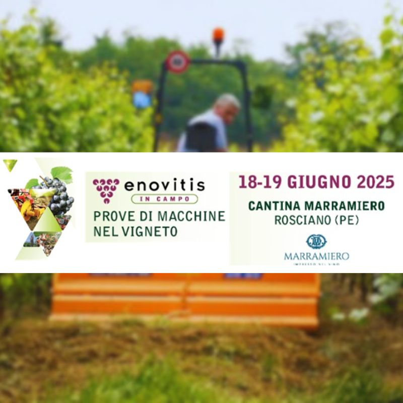 Enovitis 2025